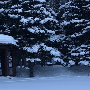 Meet your Posher, Rob